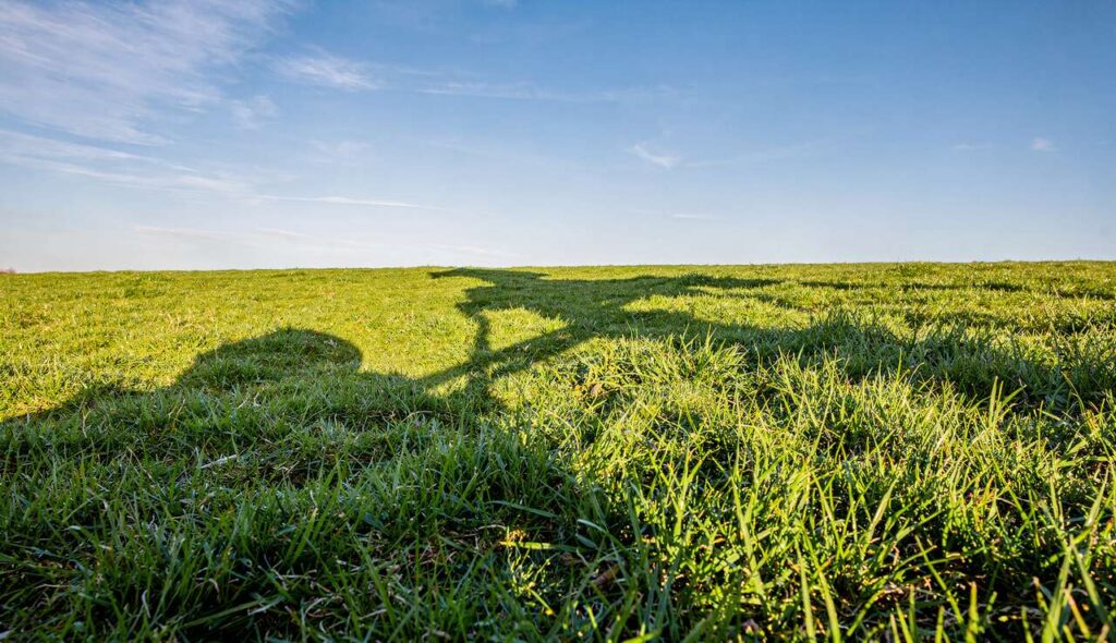 Rasen im Frühjahr: Der richtige Zeitpunkt zum Vertikutieren entscheidet über den ganzen Sommer