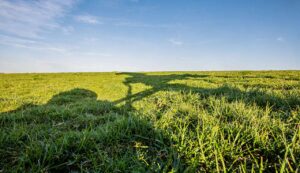 Rasen im Frühjahr: Der richtige Zeitpunkt zum Vertikutieren entscheidet über den ganzen Sommer